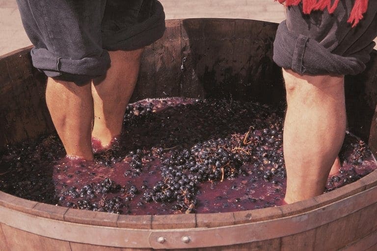 Best wine harvest festivals in Europe