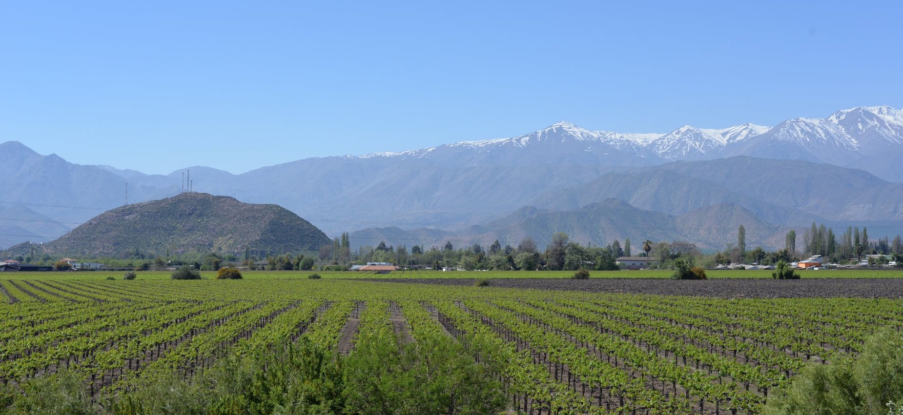 Chile Wine Tours Private Visits To Top Wineries Cellar Tours