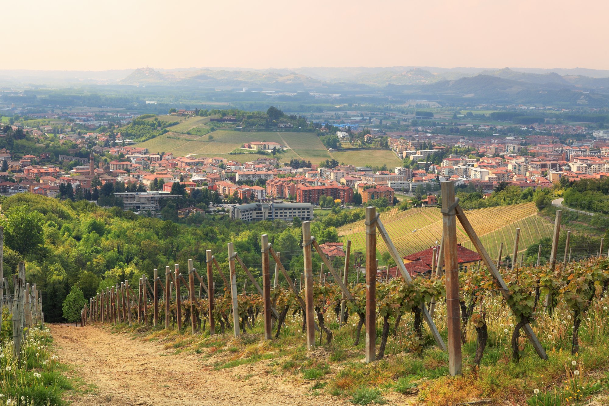 Alba, Piedmont » City Travel Guide » CellarTours