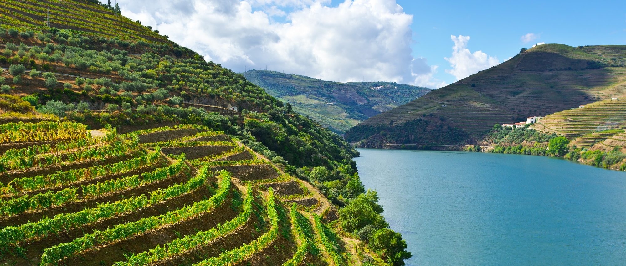 Douro Valley Wine Region A Guide By Cellar Tours