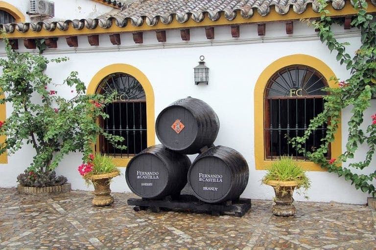 Spain's Wine Treasures: Guide To The Top 10 Wineries | Cellar Tours™