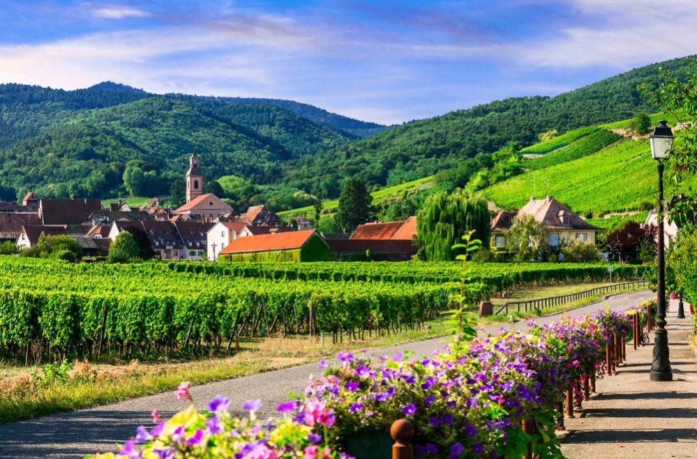 Alsace Wine Villages: Explore Scenic Landscapes