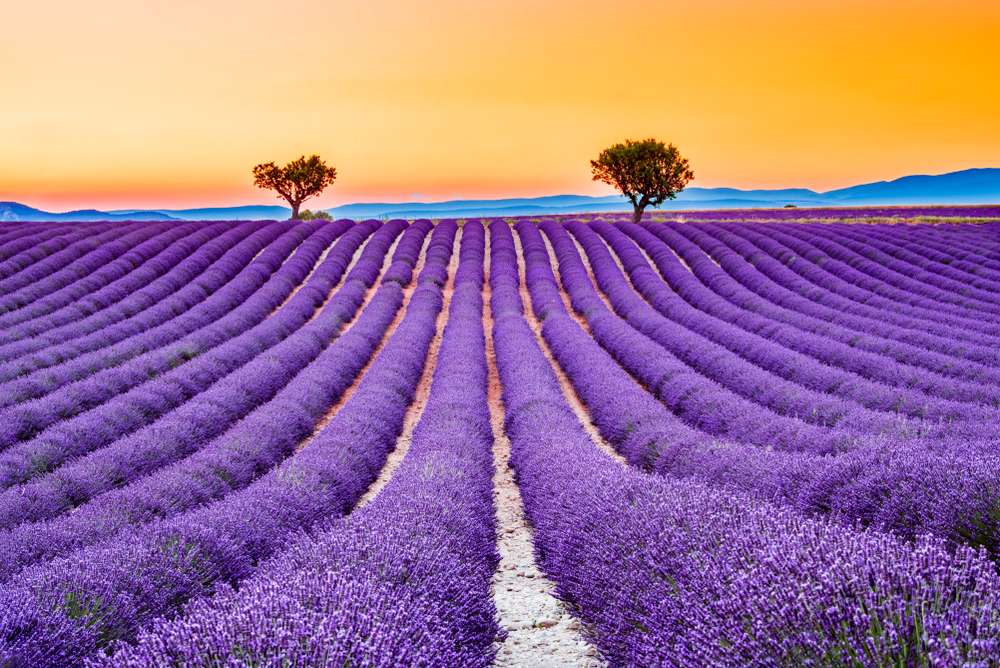 Most beautiful villages of Provence » Cellar Tours