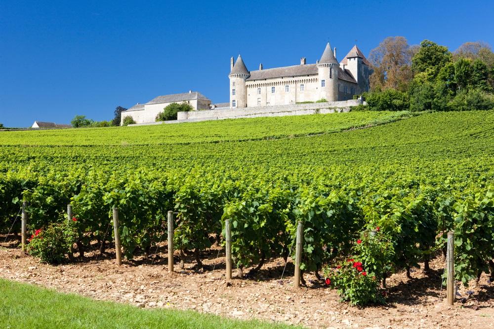 to French Wine » Cellar Tours