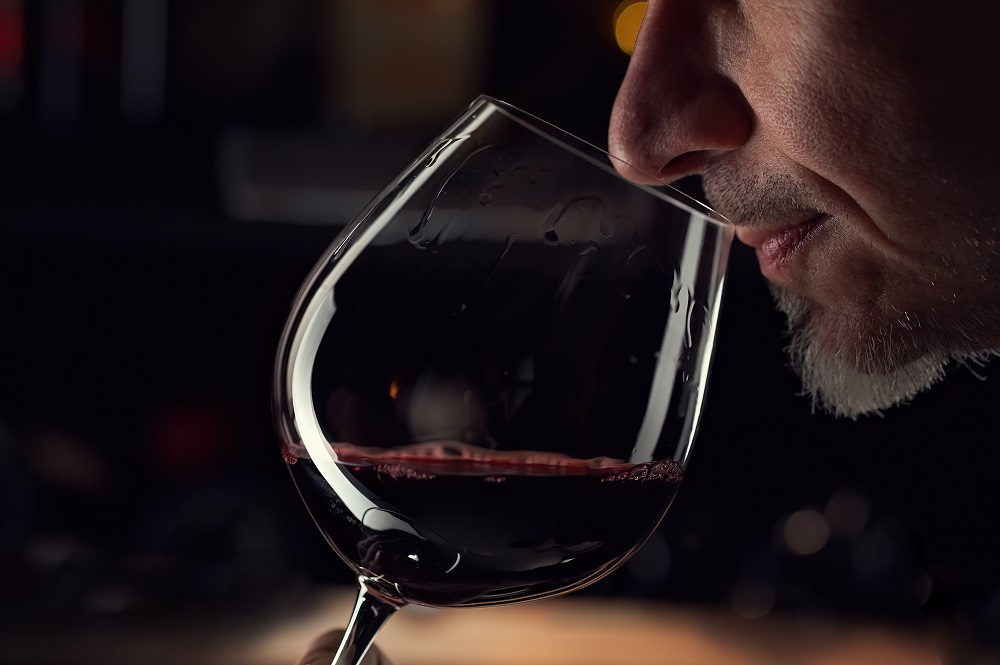 Basics: Are Stemless Wine Glasses Any Good? We Investigate