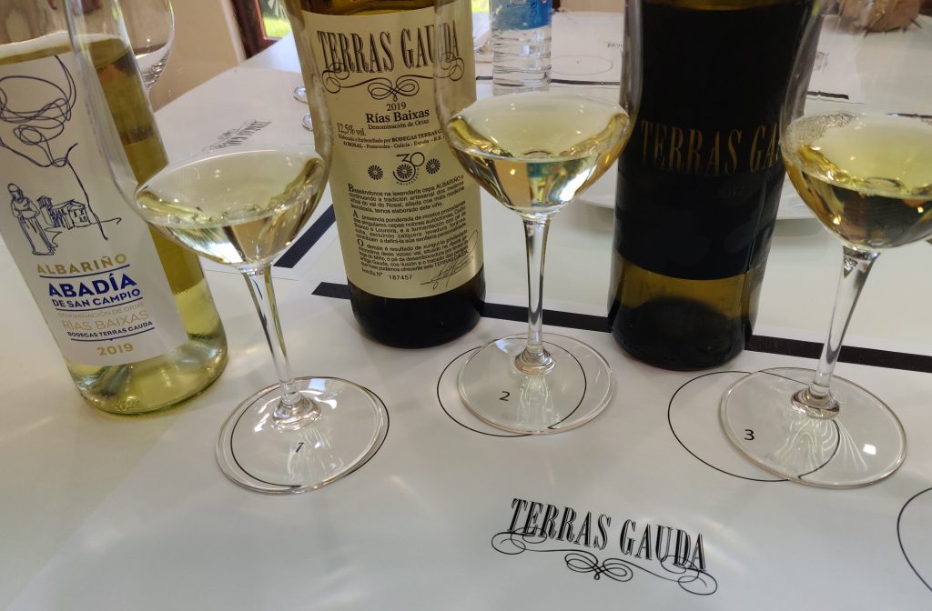 Terras Gauda: Spanish White Wines