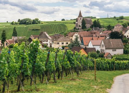 Alsace Wine Types and Classifications: From Crémant to Grand Cru Pinot Noir