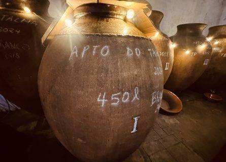 Amphora Wine: Reviving an Ancient Tradition for the Modern Era