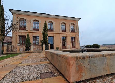 Wine Tasting in Ribera del Duero