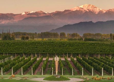 Bodega Norton vineyards with the Andes as a backdrop