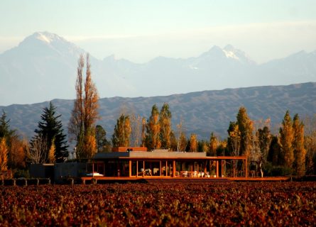 Cheval Des Andes: Where pioneers Pierre Lurton and Roberto de la Mota nurture historic Malbec vines dating back to the 1920s, aiming to match the finest Bordeaux