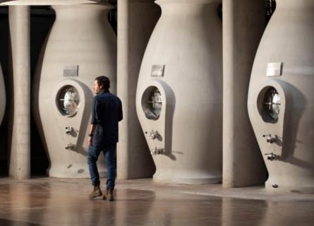 Modern concrete vats in the Zuccardi winery