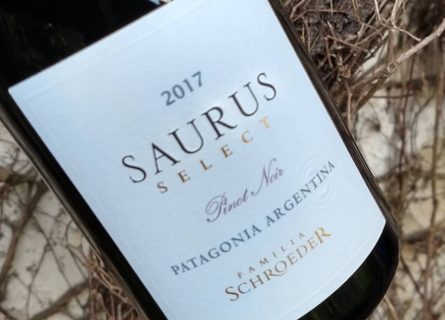 Familia Schroeder’s Saurus Pinot Noir