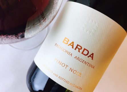 Chacra winery has redefined New World Pinot Noir by reviving old vineyards in Rio Negro.