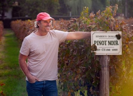 Guillo Barzi, Director, Bodega Humberto Canale