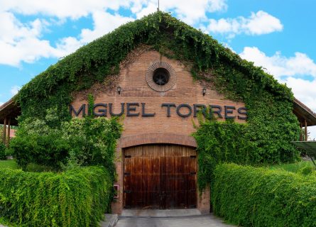 Founded in 1979, Viña Miguel Torres is a renowned winery located in the Curicó Valley