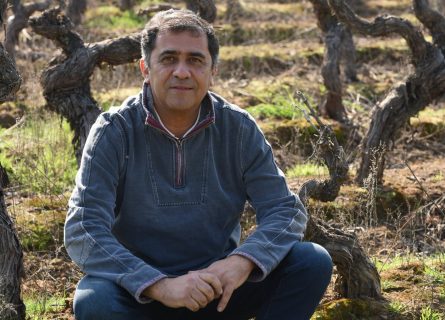 Marcelo Retamal, winemaker and consultant, Viñedos de Alcohuaz, Elqui