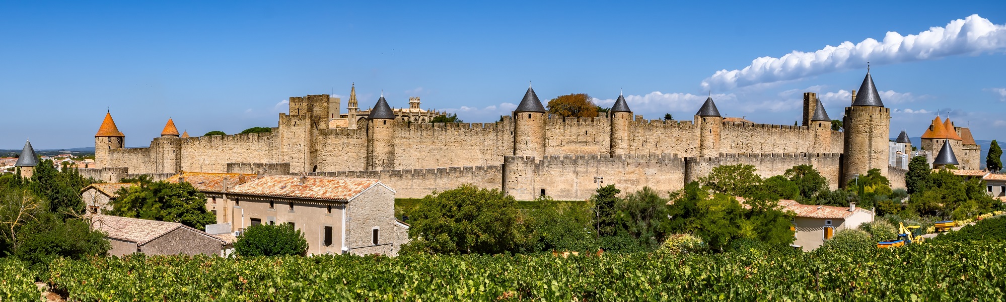 languedoc wine tours and events