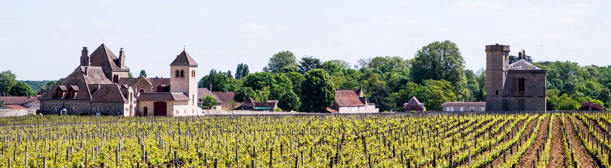 Château De Pommard Winery | A Guide By Cellar Tours™