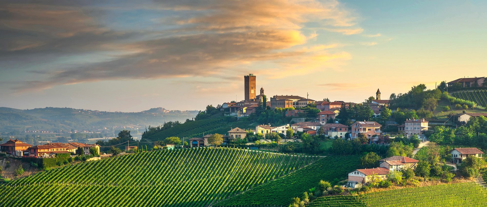 Barbaresco Wine Region | a Guide by Cellar Tours™