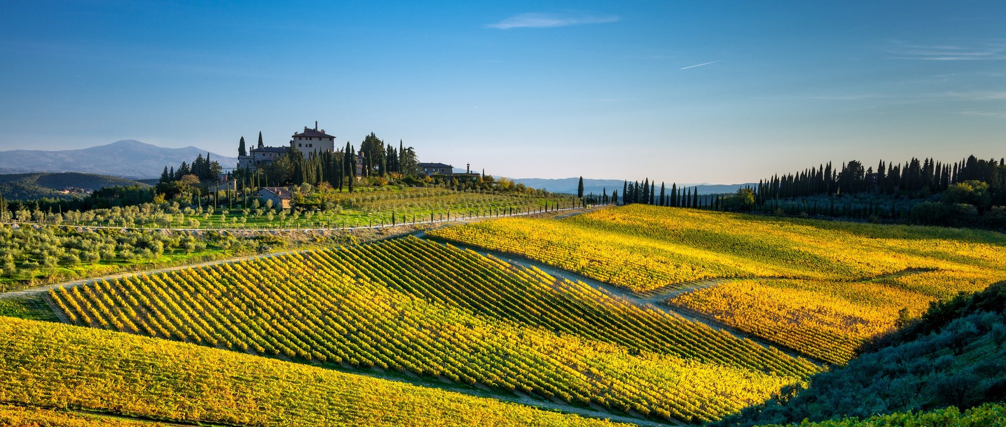 Private Chianti Wine Tours » Visits The Best Tuscan Wineries » CellarTours