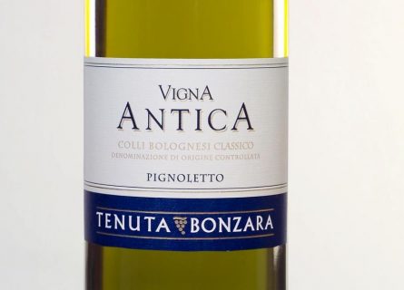 Tenuta Bonzara: One of the top producers of Pignoletto wines