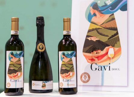 Cortese di Gavi Wine Region | a Guide by Cellar Tours™