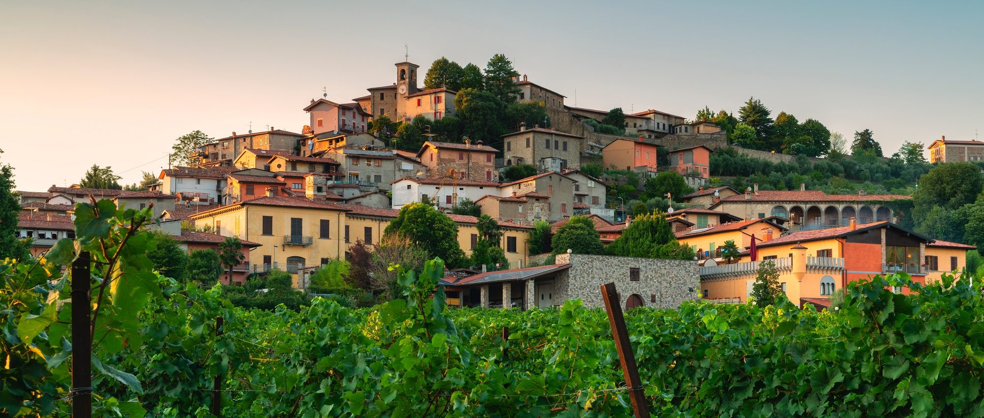 Franciacorta Wine Region Guide » Italian Wine Regions » CellarTours