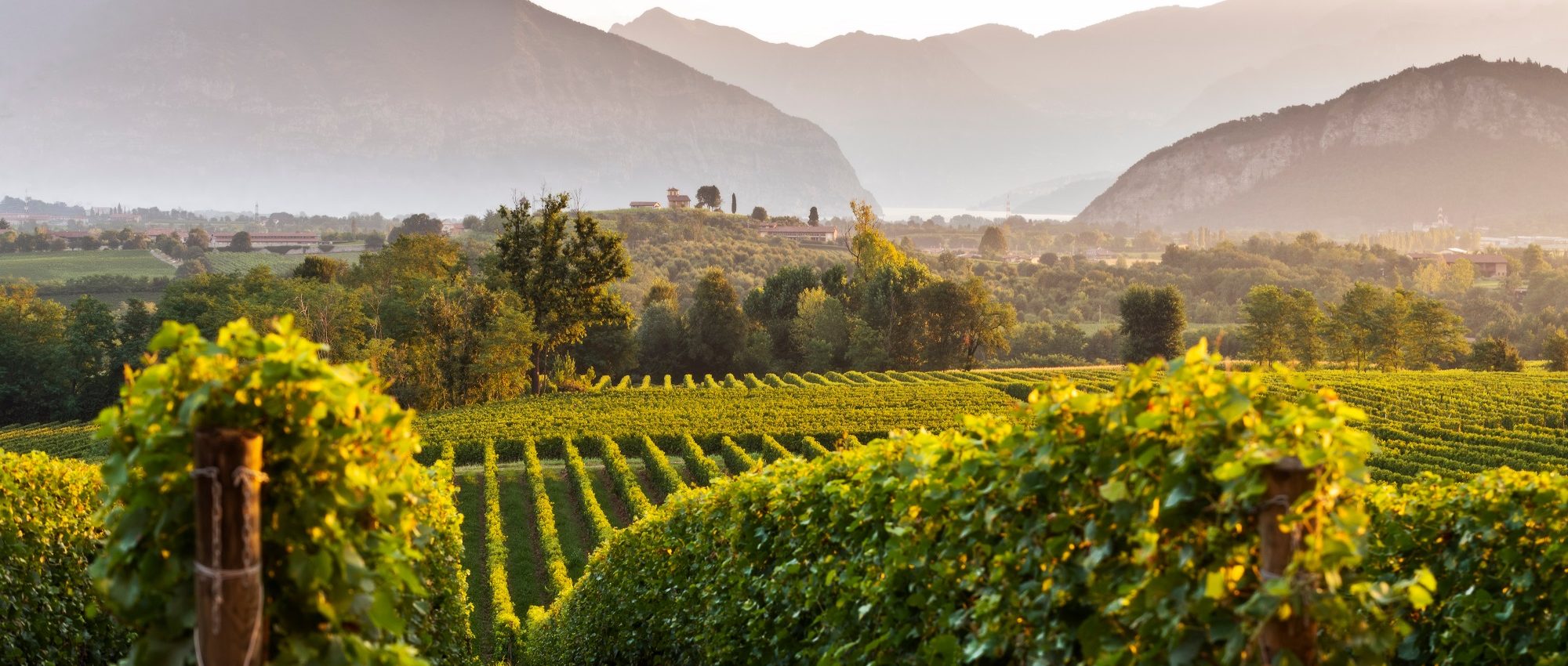 Franciacorta Wine Tours » Picturesque Lakeside Wine Region » CellarTours