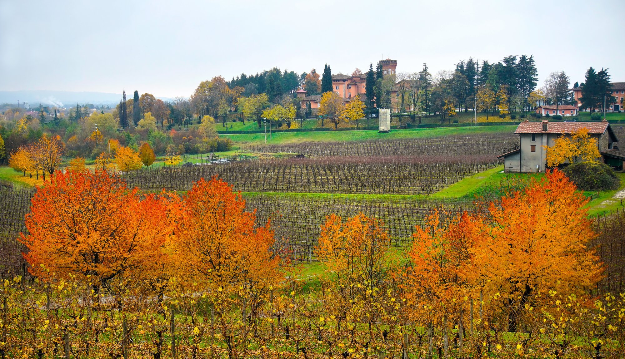 Friuli Wine Tours » Explore This Enchanting Wine Region » CellarTours