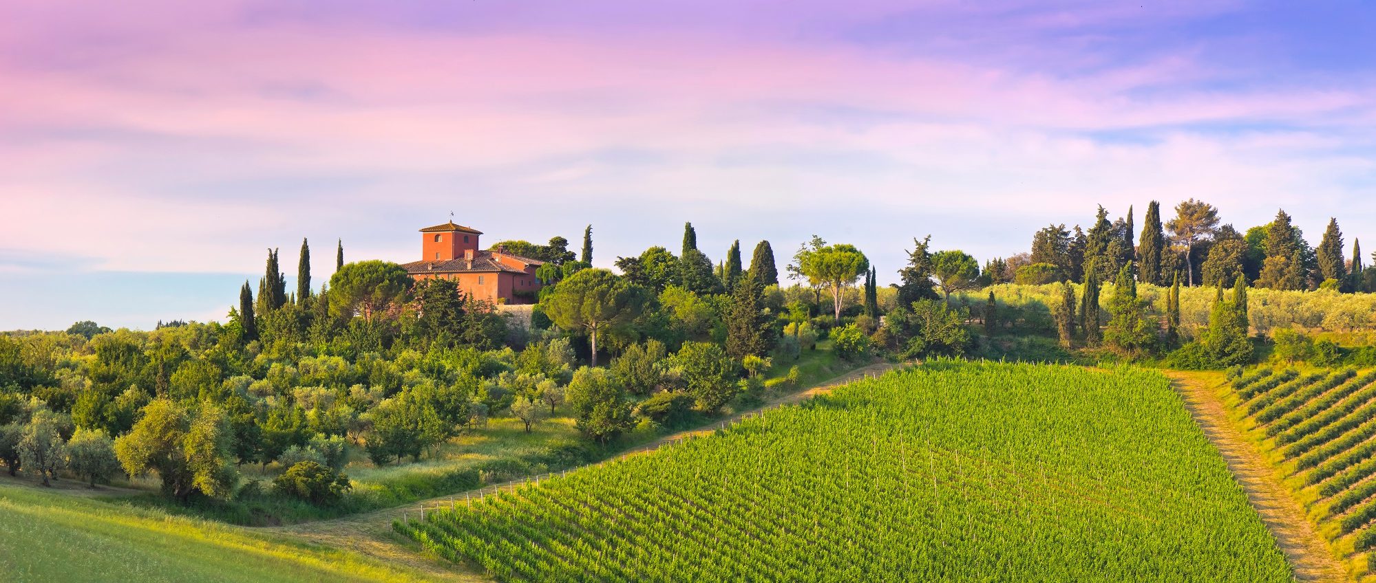 Wine Tours Italy: Private Tastings, Luxury Hotels & Exclusive Dining