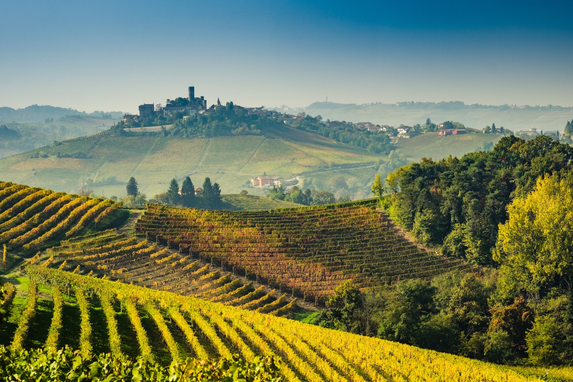 winery tours piedmont italy