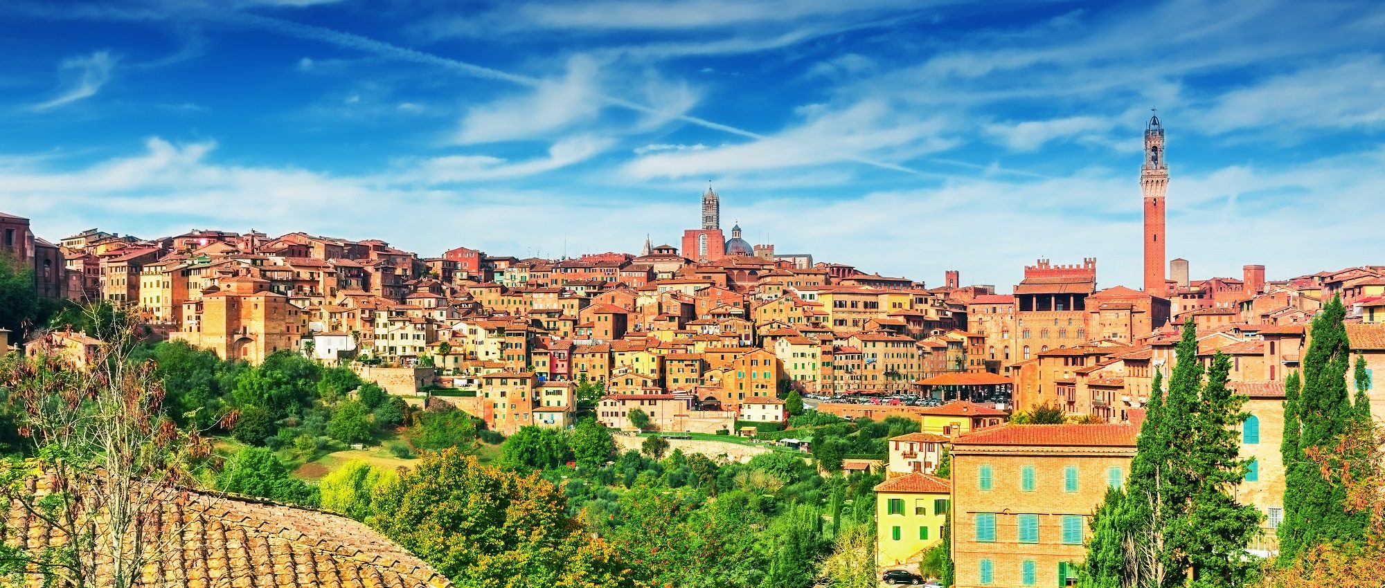 siena italy wine tours