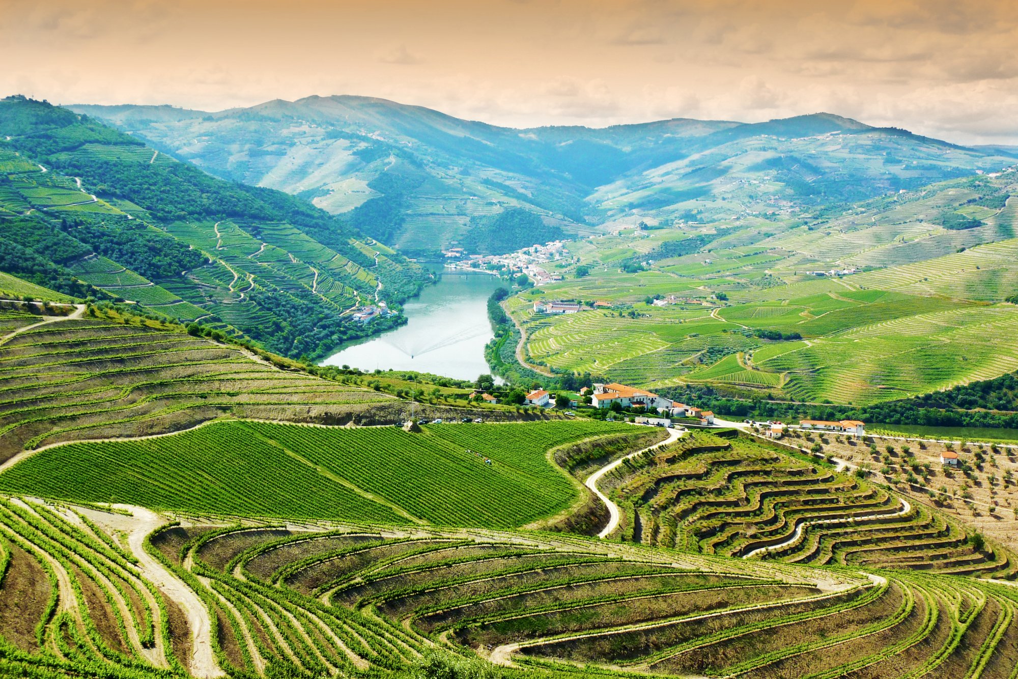 douro valley wine tours