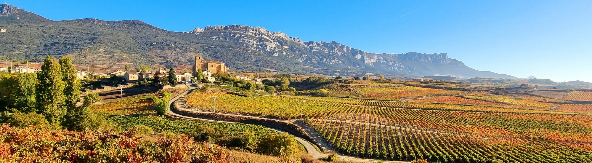 Premium signature Rioja wine GAUDIUM Marqués de Cáceres