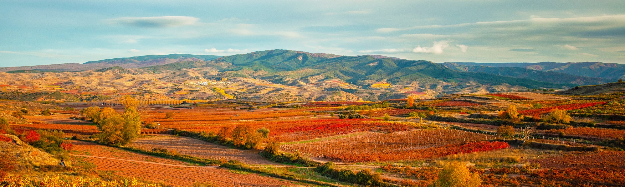La Rioja, Wine Regions