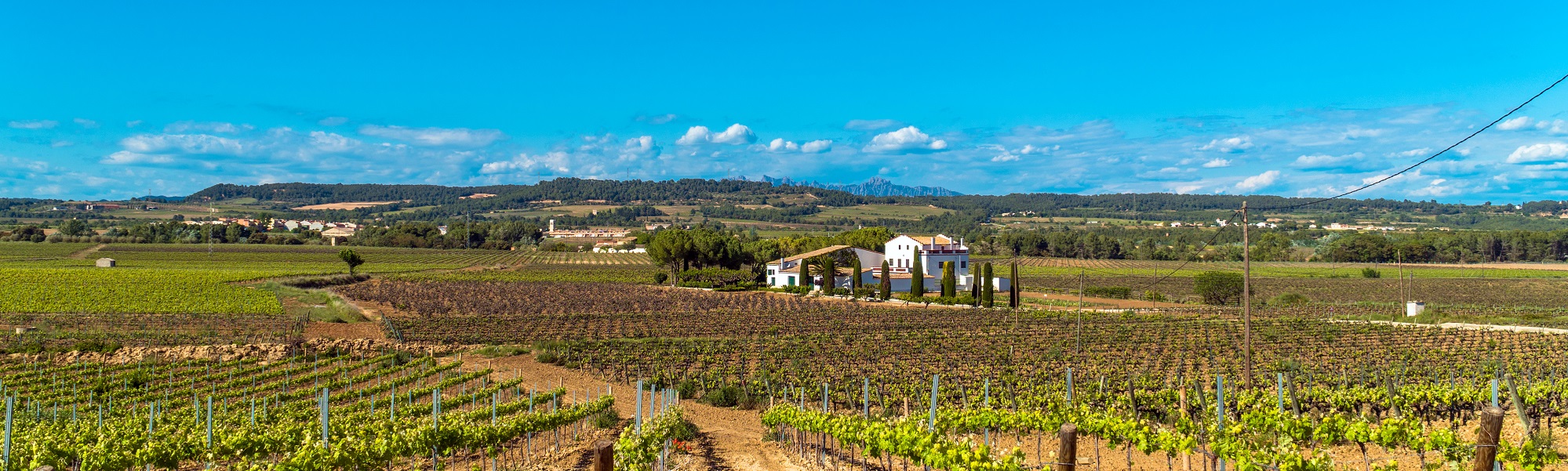 Penedes wine outlet