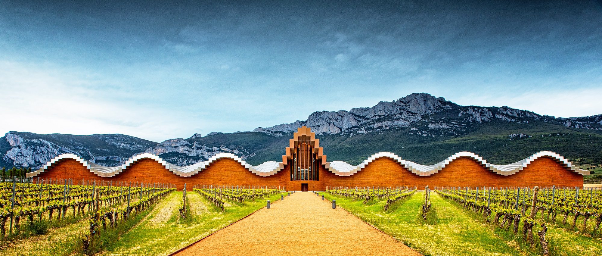 Are there any wine tours in spain, Rioja Wine Tours